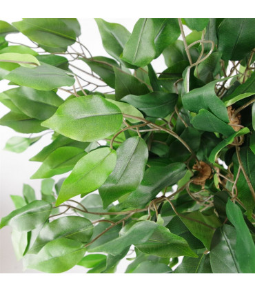 90cm Artificial Evergreen Ficus Tree