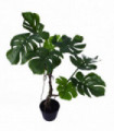 70cm Artificial Twisted Stem Monstera Plant