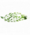 80cm Artificial Trailing Green Eucalyptus Plant Realistic