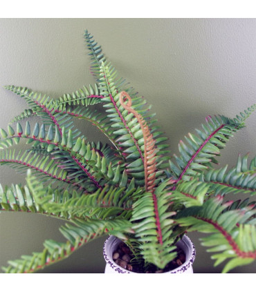 40cm Artificial Bushy Fern Potted in Decorative Planter