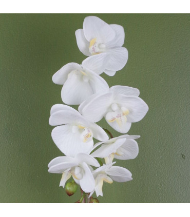 46cm Artificial Orchid White with Silver Pot