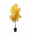 150cm Artificial Yellow Ginkgo Tree 510 Leaves