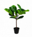 60cm Artificial Fiddle Fig Plant