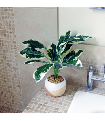 40cm Artificial Pothos Plant Variegated Shrub with Planter