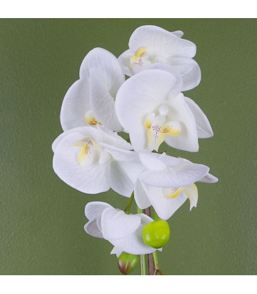 46cm Artificial Orchid White and Gold