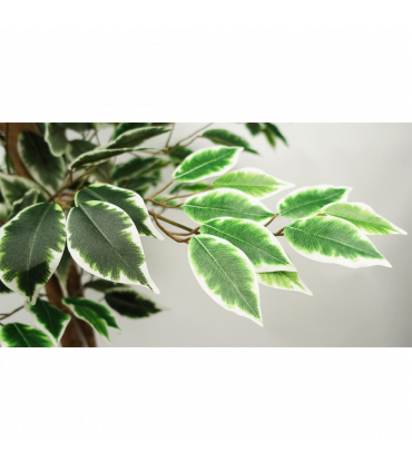 150cm Artificial Silk Ficus Tree