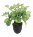 40cm Artificial Caladium Plant with pot