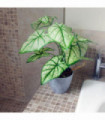 40cm Artificial Taro House Plant in Decorative Planter