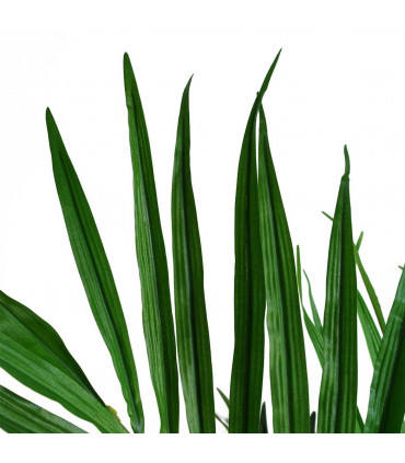 130cm Kentia Palm Artificial Tree