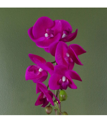 46cm Artificial Orchid Dark Pink and Gold