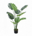 120cm (4ft) Luxury Monstera Plant Black Pot