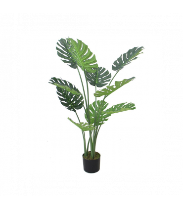 120cm (4ft) Luxury Monstera Plant Black Pot
