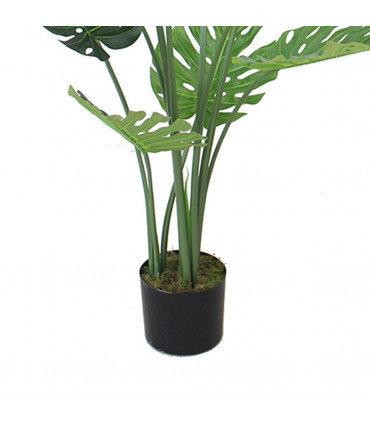120cm (4ft) Luxury Monstera Plant Black Pot