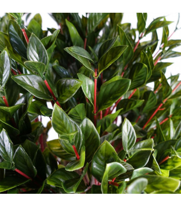 90cm UV Resistant Gloxinia Single Ball Topiary with 1608 Leaves and Natural Trunk