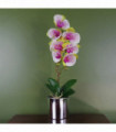 46cm Artificial Orchid Harlequin Pink with Silver Pot