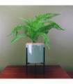 40cm Artificial Fern Plant with Ceramic Planter & Stand