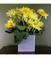 Artificial Potted Daisy Flowering Plant Yellow