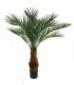 120cm Cycas Palm Tree UV Resistant Outdoor