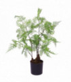 60cm Artificial Natural Moss Base Fern Foliage Plant