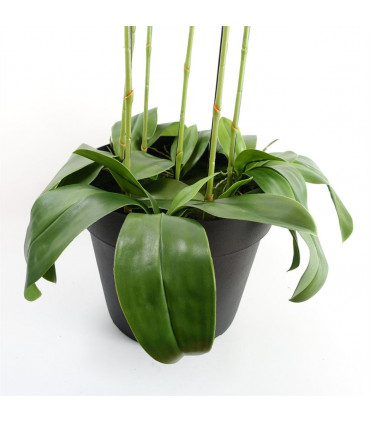 110cm Large Yellow Peach Orchid Plant Artifcial 41 REAL TOUCH flowers