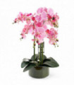 50cm Artificial Orchid with Glass Planter Pink