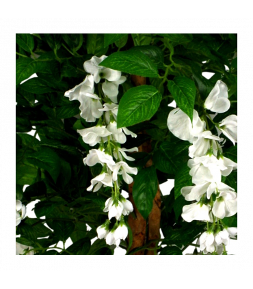 130cm Luxury Artificial Wisteria Tree White Flowers Premium Range