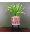 35cm Artificial Grass Plant with Contemporary Ceramic Planter and Metal Stand set