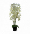 150cm Giant White Orchid Plant Artificial 189 flowers REAL TOUCH