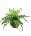 50cm Luxury Artificial Evergreen Fern Plant