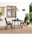 3 Piece Garden Dining Set Black and Brown