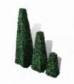 Set of 3 Artificial Boxwood Pyramid Topiary