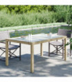 Garden Table 150x90x75 cm Tempered Glass and Poly Rattan Beige