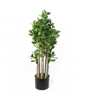 Artificial Deluxe Green Jade Plant 75cm Large Hyper Realistic Weighted Pot