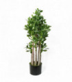 Artificial Deluxe Green Jade Plant 75cm Large Hyper Realistic Weighted Pot