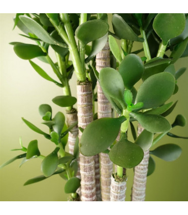 Artificial Green Jade Plant 75cm Large Size Weighted Plastic Pot Classic Style