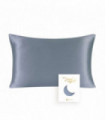 100% Natural Mulberry Silk Pillowcase With OEKO-TEX 22MM Front In 100% Silk & Back in Lenzing Tencel Fabric, 1 Pack