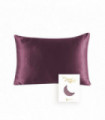 100% Natural Mulberry Silk Pillowcase With OEKO-TEX 22MM Front In 100% Silk & Back in Lenzing Tencel Fabric, 1 Pack