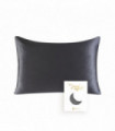 100% Natural Mulberry Silk Pillowcase With OEKO-TEX 22MM Front In 100% Silk & Back in Lenzing Tencel Fabric, 1 Pack