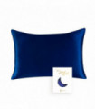 100% Natural Mulberry Silk Pillowcase With OEKO-TEX 22MM Front In 100% Silk & Back in Lenzing Tencel Fabric, 1 Pack