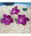 100pcs Silk Frangipane Frangipani Flower Heads 6cm 9cm Artificial Tropical Hibiscus  Flower Heads