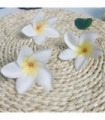 100pcs Silk Frangipane Frangipani Flower Heads 6cm 9cm Artificial Tropical Hibiscus  Flower Heads