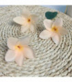 100pcs Silk Frangipane Frangipani Flower Heads 6cm 9cm Artificial Tropical Hibiscus  Flower Heads