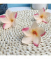 100pcs Silk Frangipane Frangipani Flower Heads 6cm 9cm Artificial Tropical Hibiscus  Flower Heads