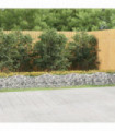 vidaXL Arched Gabion Raised Bed 800x100x50 cm Galvanised Iron