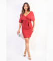 V-neck Tie Waist Wrap Mini Dress