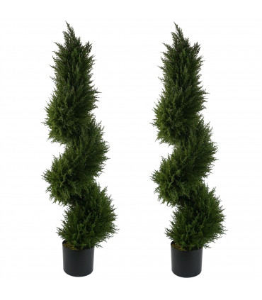Pair of Spiral Cypress Tree