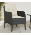 vidaXL Garden Chairs with Cushions 2 pcs Black Poly Rattan