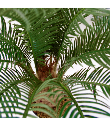 Leaf 60cm Cycas Palm Plant Artificial Tropical Tree Green Fronded Leaves