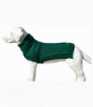 The Jazz Dog Jumper in Green