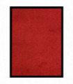 Doormat  Red 40x60 cm